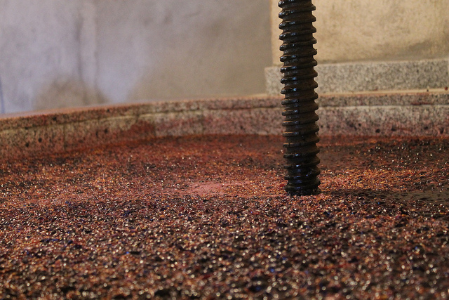 Pressing grapes in a traditional winery.