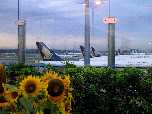 Is Changi Airport in Singapore the World's Best? 8 Things to Know